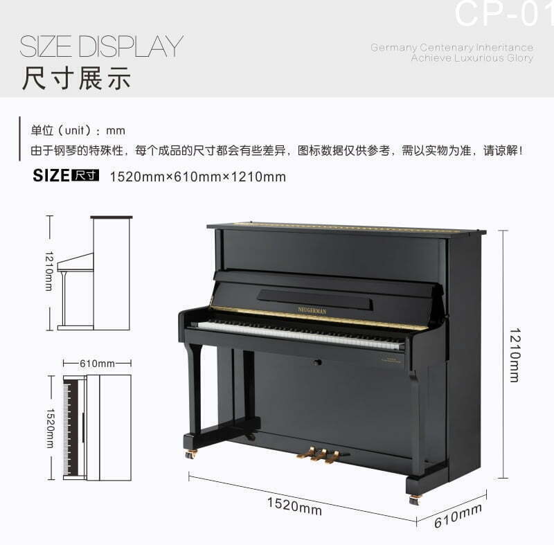 查尔伯特 CP系列 CP-01, 诺英德曼CP系列 CP-01