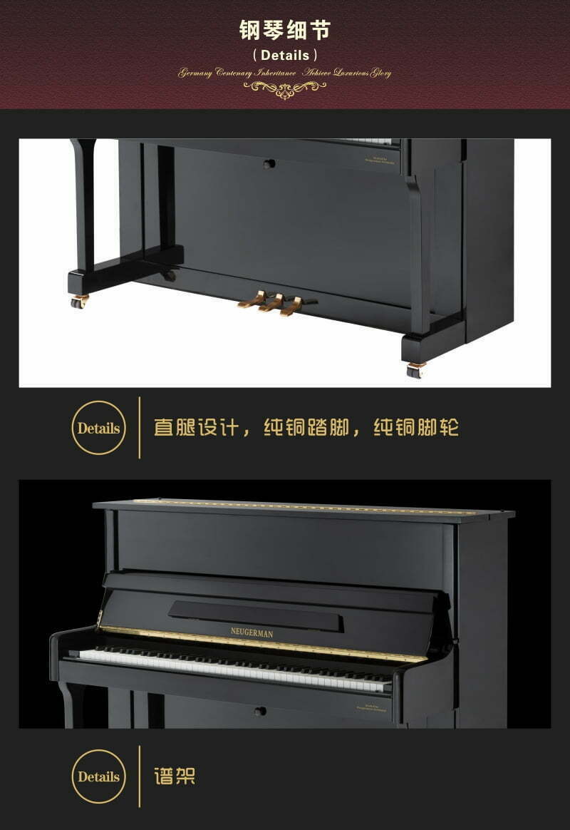 查尔伯特 CP系列 CP-01, 诺英德曼CP系列 CP-01